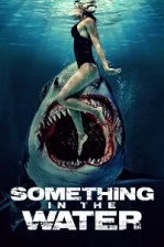 Something in the Water Poster