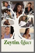Zeytin Ağacı Poster