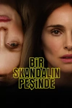 Bir Skandalın Peşinde Poster