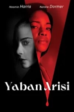 Yaban Arısı Poster