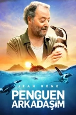 Penguen Arkadaşım Poster