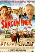 Sürgün İnek Poster