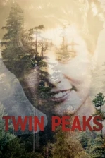 Twin Peaks Poster