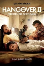 Felekten Bir Gece 2 Poster