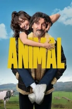 Animal Poster