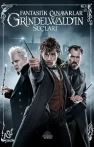 Fantastik Canavarlar: Grindelwald'ın Suçları izle Fantastik Canavarlar: Grindelwald'ın Suçları