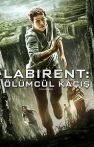 Labirent: Ölümcül Kaçış izle Labirent: Ölümcül Kaçış