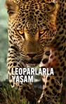 Leoparlarla Yaşam izle Leoparlarla Yaşam