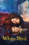 Beyaz Kuş izle Beyaz Kuş