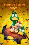 Ördeklerin Göçü izle Ördeklerin Göçü
