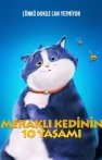 Meraklı Kedinin 10 Yaşamı izle Meraklı Kedinin 10 Yaşamı