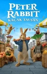 Peter Rabbit 2: Kaçak Tavşan izle Peter Rabbit 2: Kaçak Tavşan