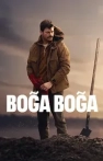 Boğa Boğa izle Boğa Boğa