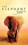 The Elephant Queen izle The Elephant Queen